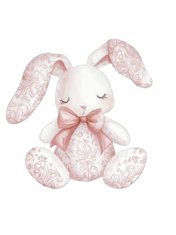 Dummy coneja pink toile