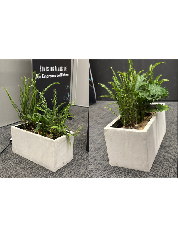 Jardineras de cemento para ambientación