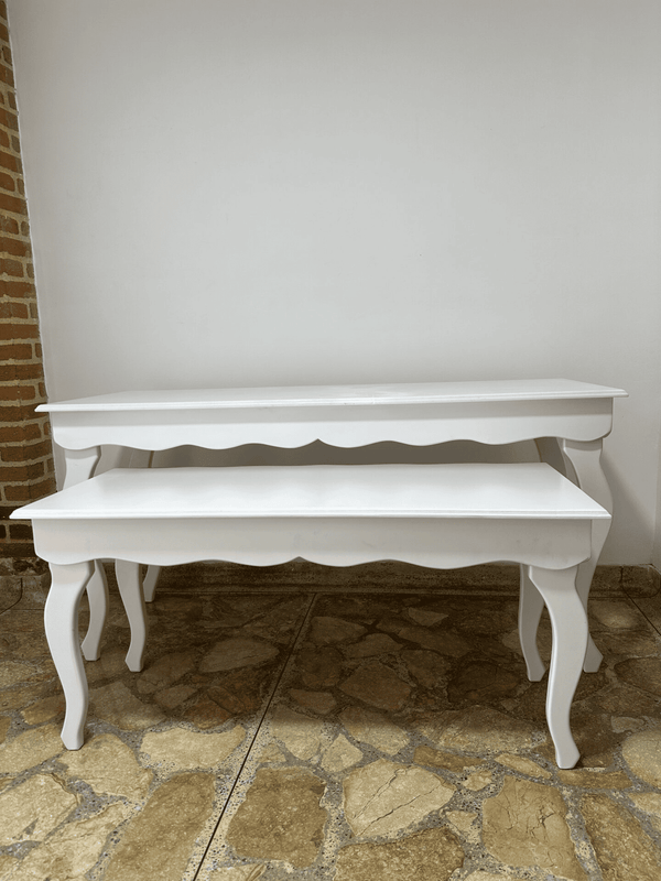 Set de mesa primavera  x 2 unidades