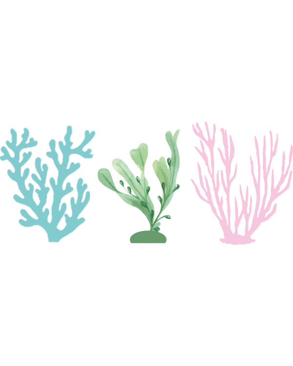 Set de 3 dummys de algas marinas $25.000